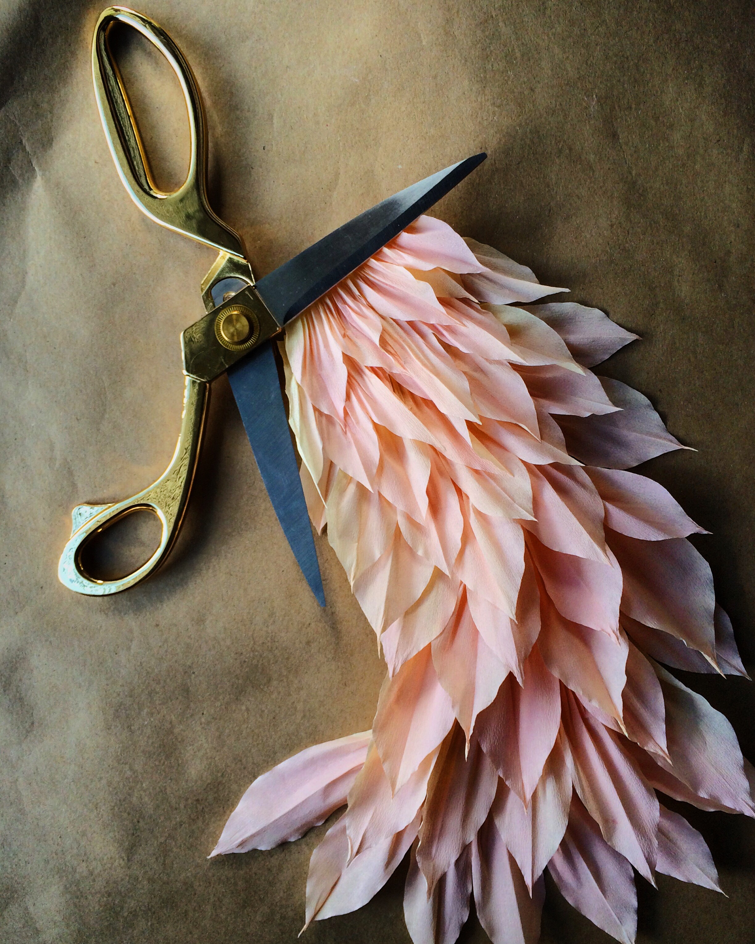 dahlia petals