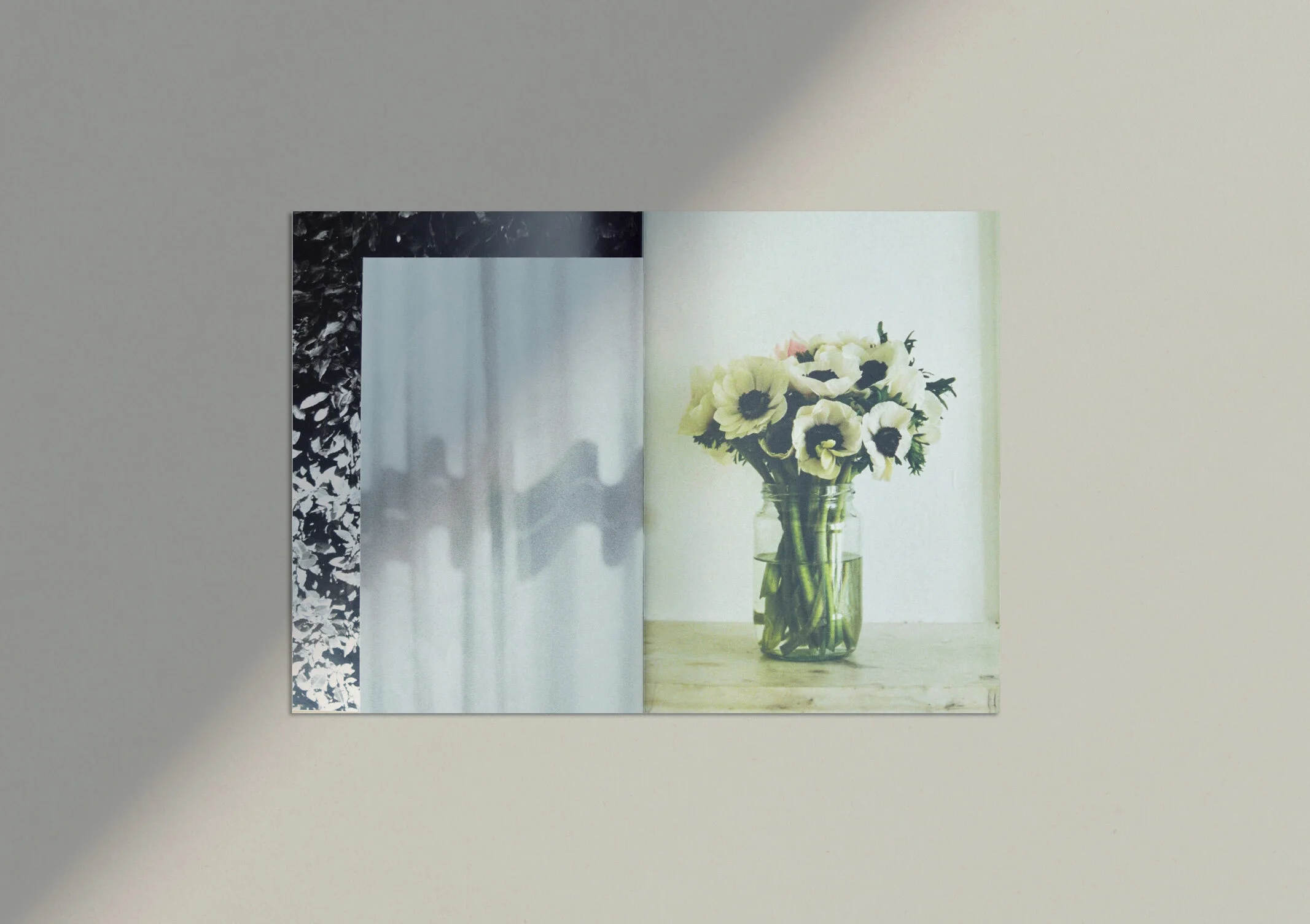 Emily_Hadden_Stella_McCartney_13_Lookbook_.jpg