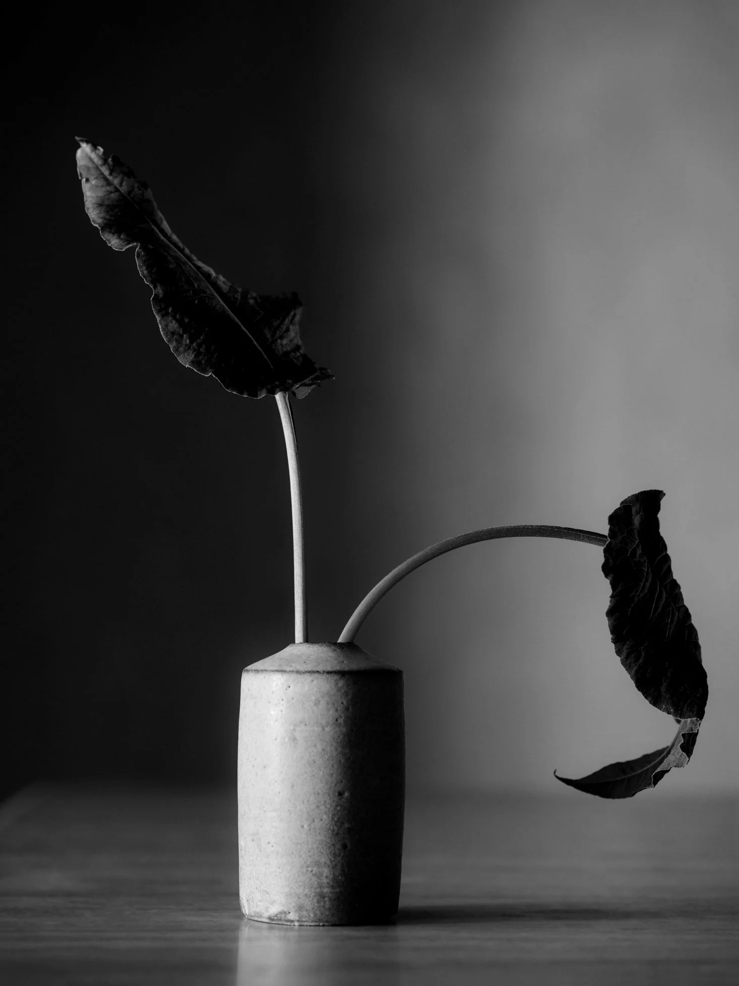 Emily_Hadden_Aman_Essentials_Skincare_Campaign_Art_Direction_23_BW.jpg