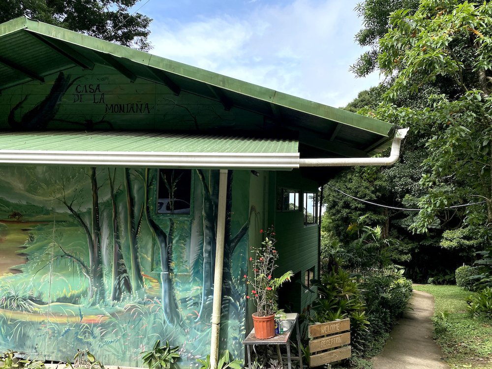  A rainforest mural on the outside wall of La Casa de la Montaña. 