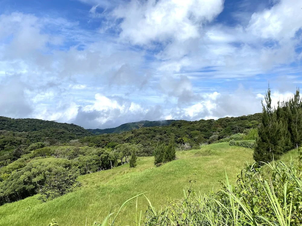  The vibrant greens of Monteverde on an uncharacteristically sunny day. 