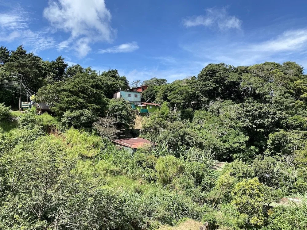  A house nestled in the forest that surrounds Santa Elena. 