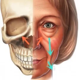 骨骼变化也是衰老的重要因素