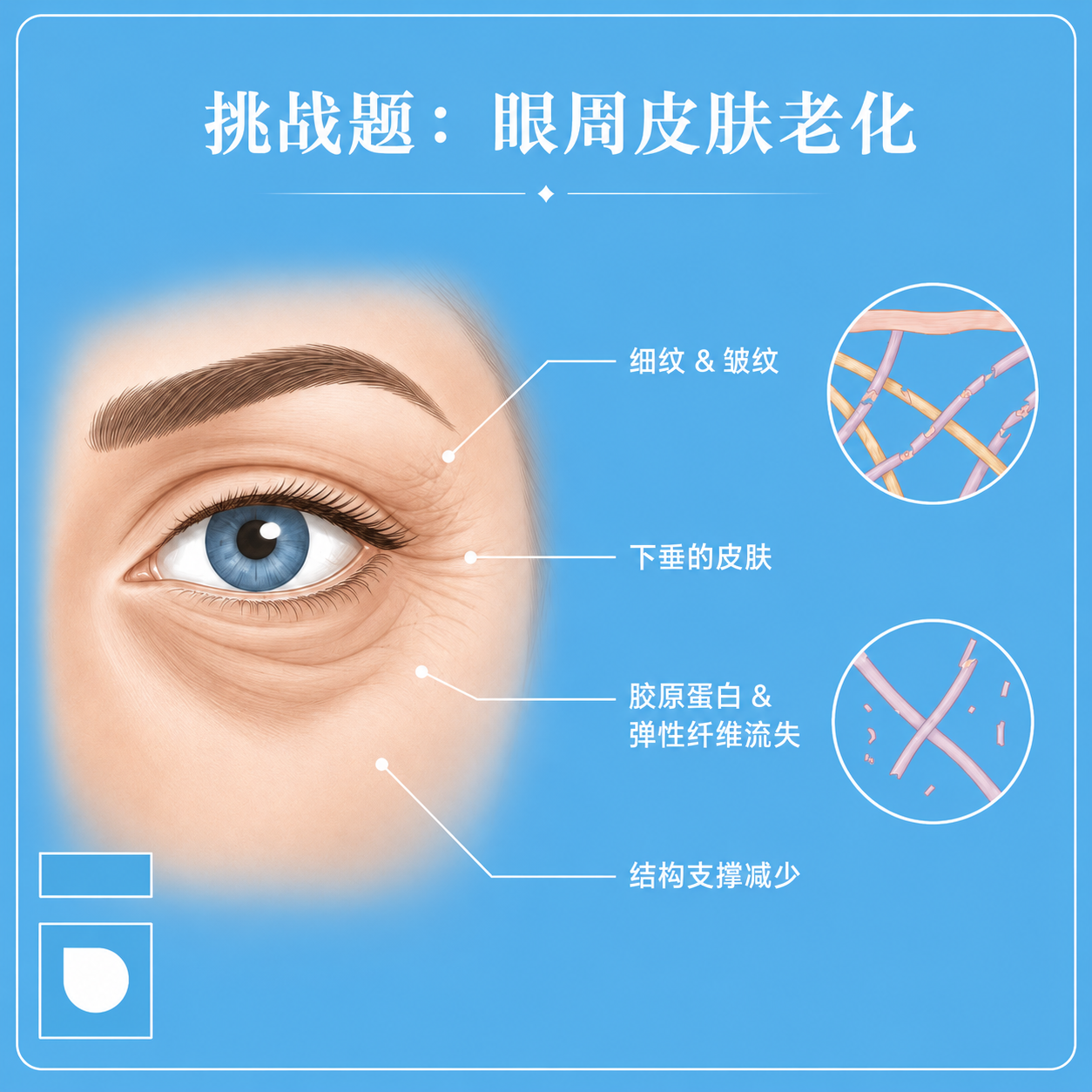 Primex plasma 眼周 奥克兰 医美 美研 新西兰 美容 2 介绍..png