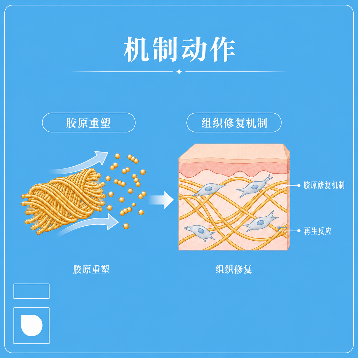 Primex plasma 眼周 奥克兰 医美 美研 新西兰 美容 3 介绍..png
