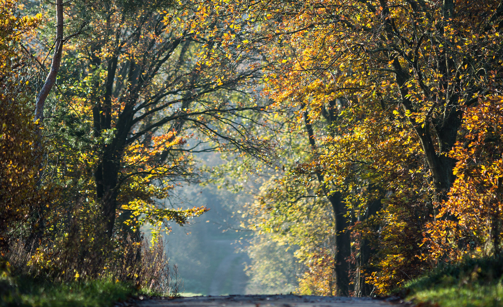 eyendorf_herbst_614.jpg