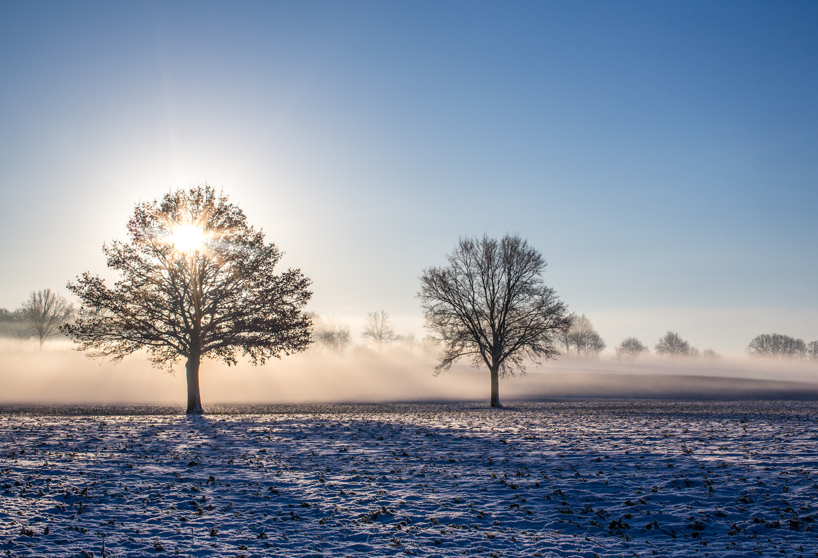 magic_morning_light_januar_2017_06.jpg