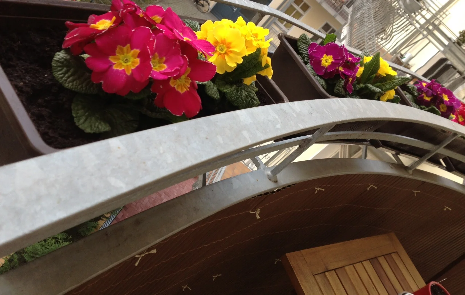 Balcony Flowers for Spring - - Savannah Page