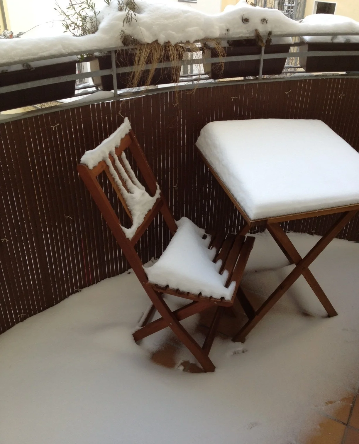 Snow in Berlin - Savannah Page, author