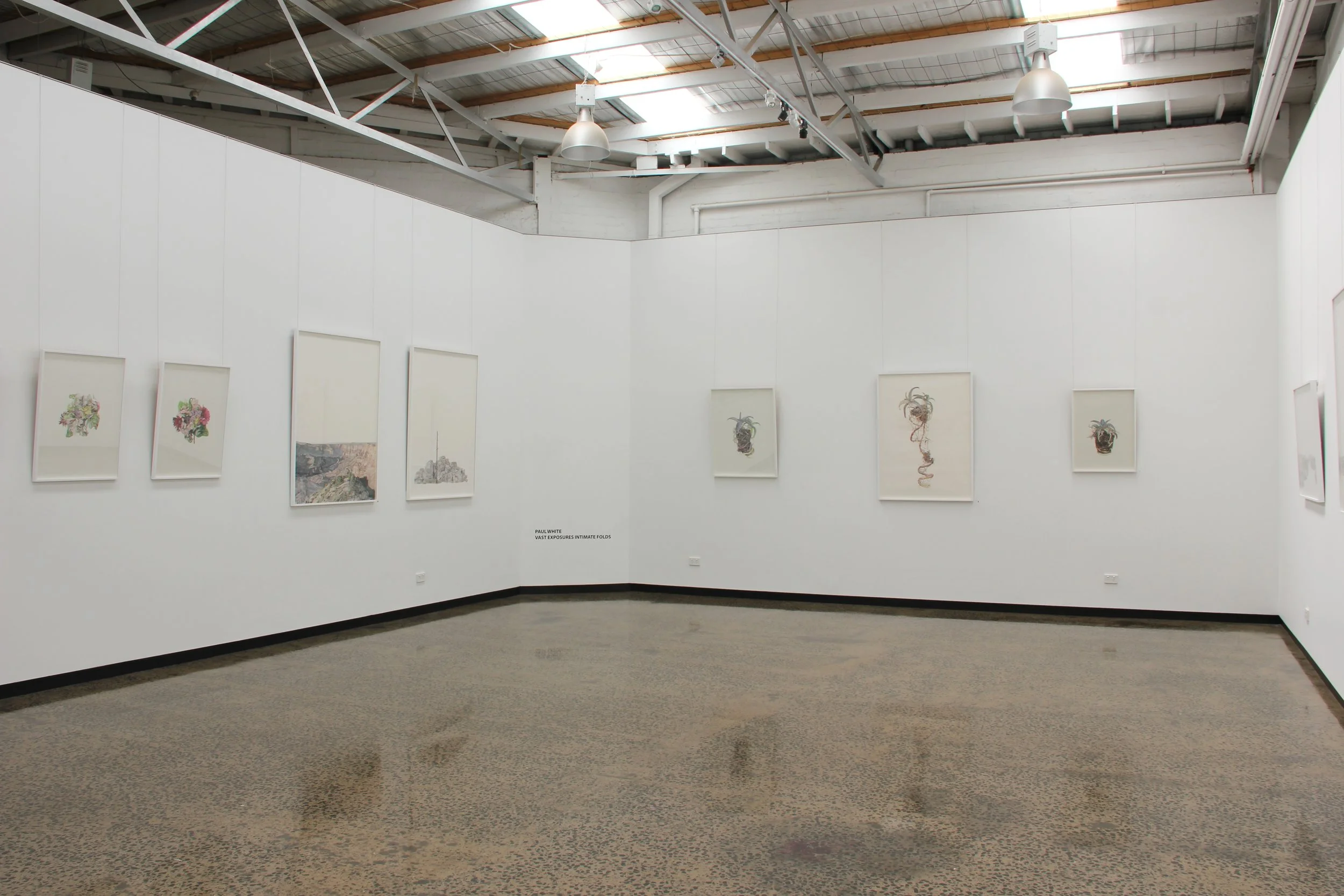  Install shot 'Vast Exposures Intimate Folds' Scott Livesey Galleries, Oct 2016 