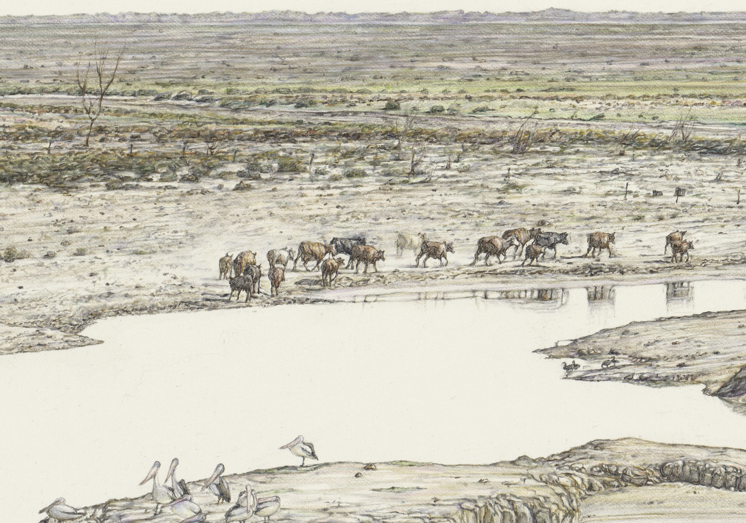  ‘Lake Menindee (Running on Empty)’ (detail), pencil on paper, 56 x 76 cm 