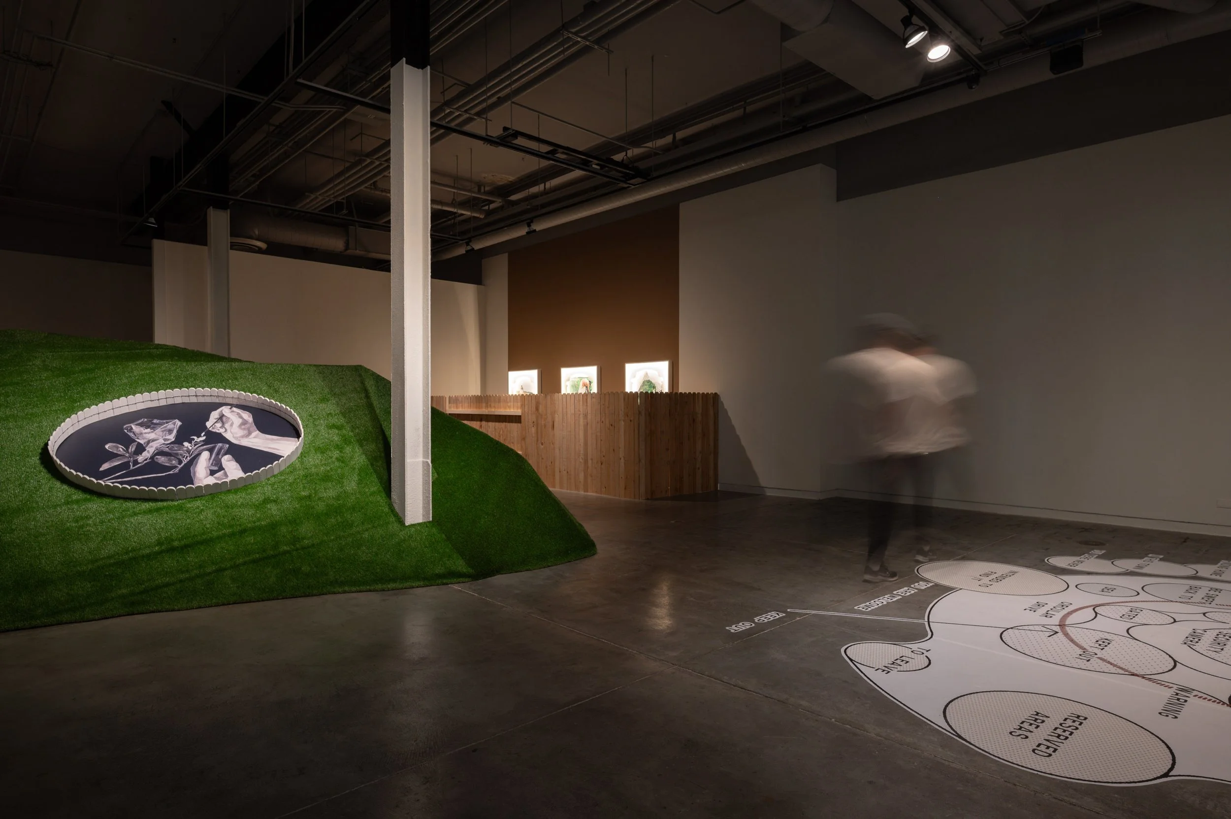 Welcome Susy and Fred_small__CSW8740.JPG