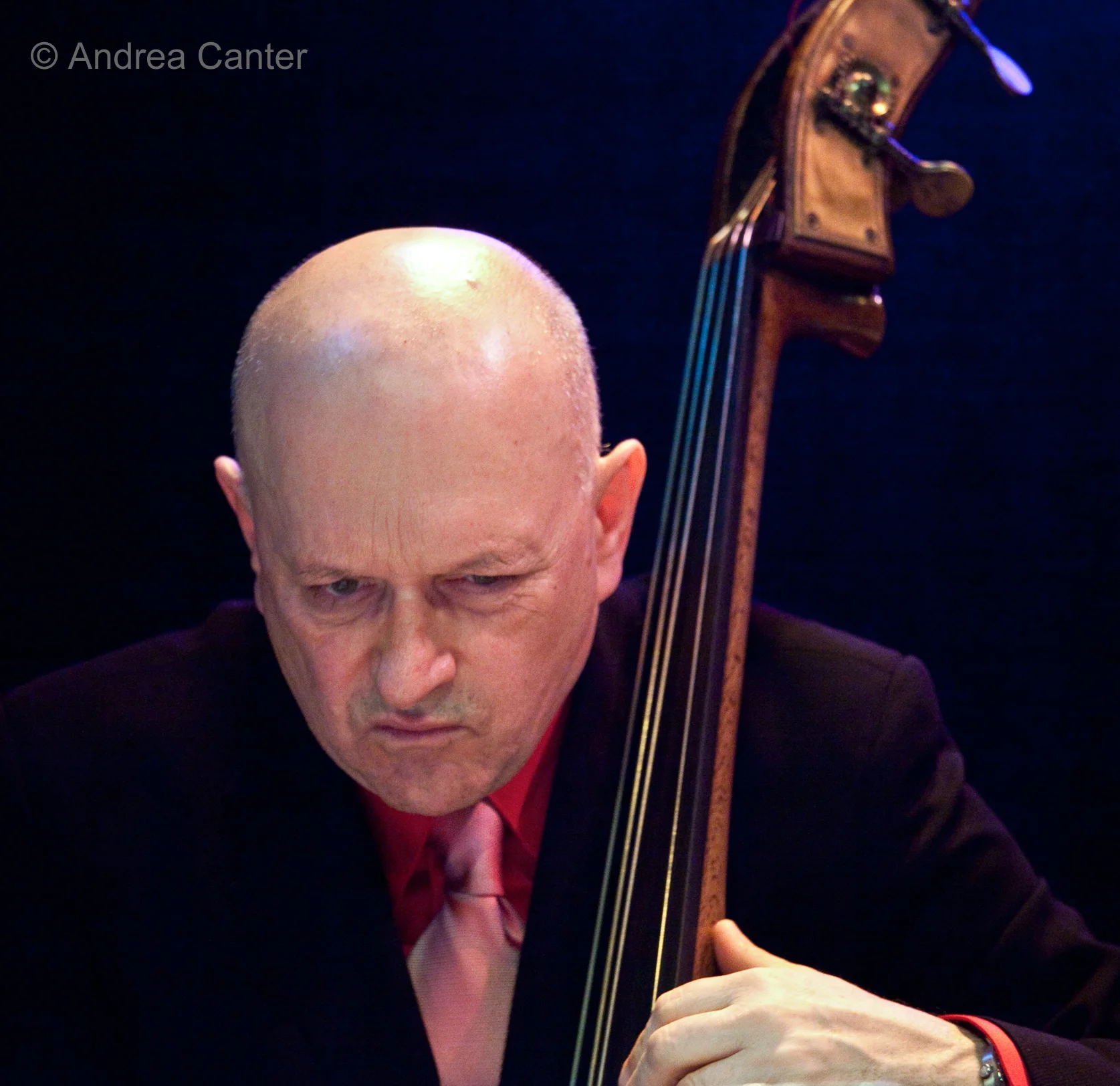 Bassist John Menegon