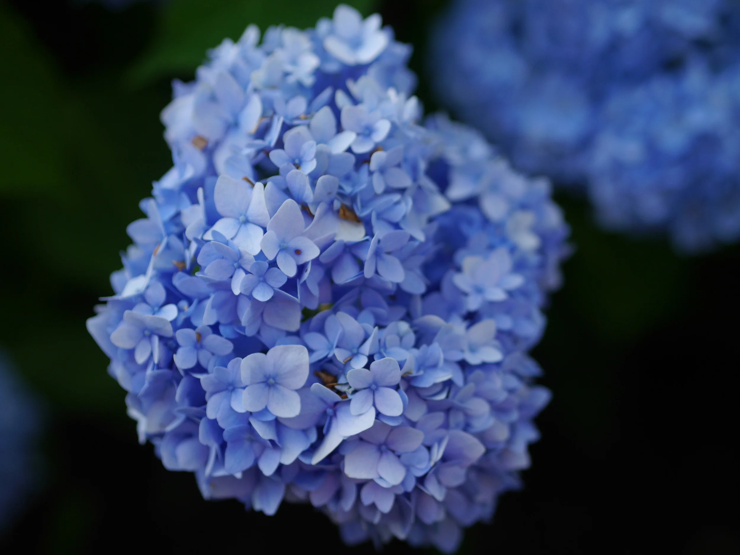 Fourth of July on Cape Cod Pt. 1 ABOUT Fourth of July on Cape Cod