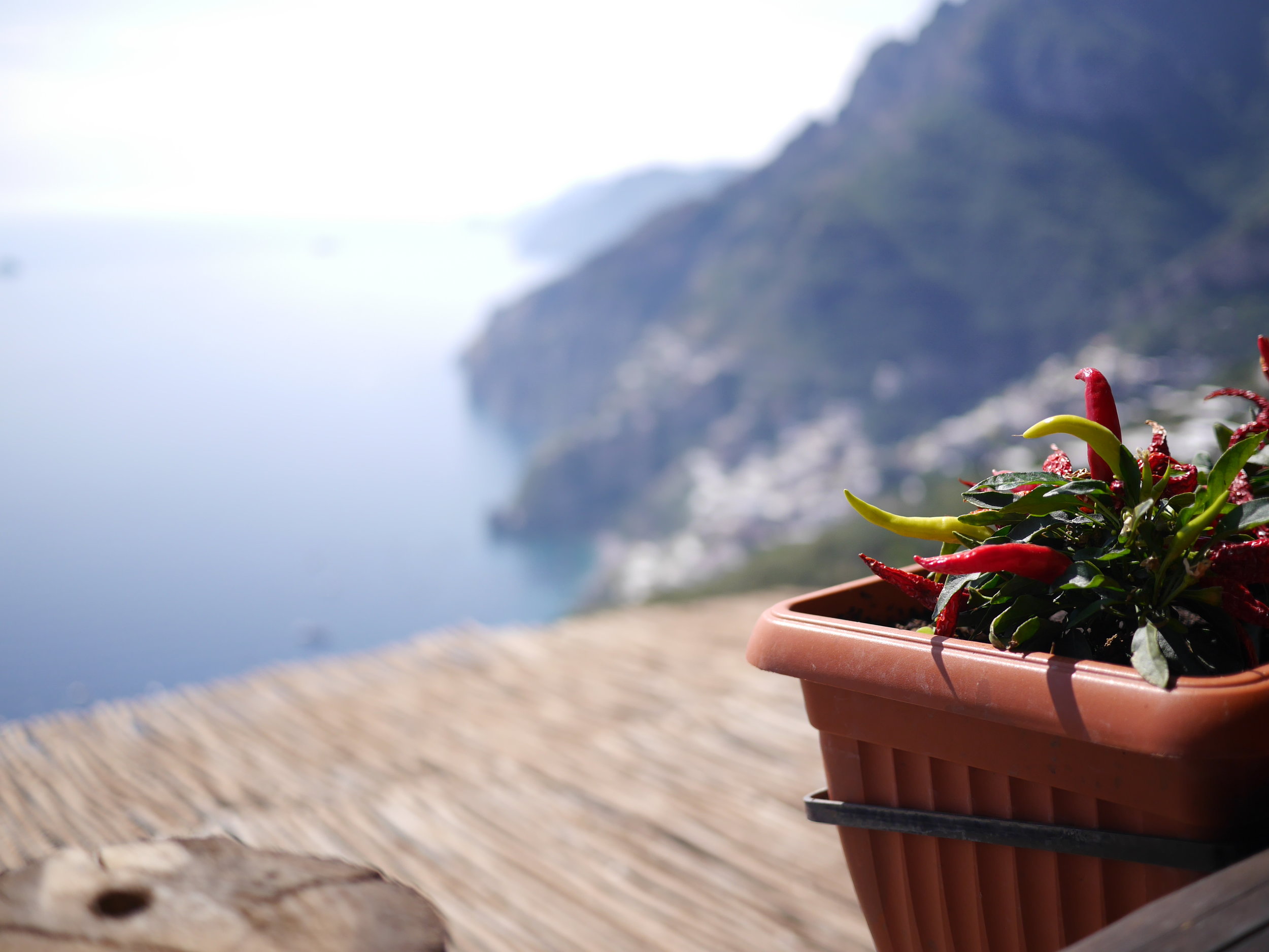 Amalfi Coast Trattoria La Tagliata view from our table.JPG