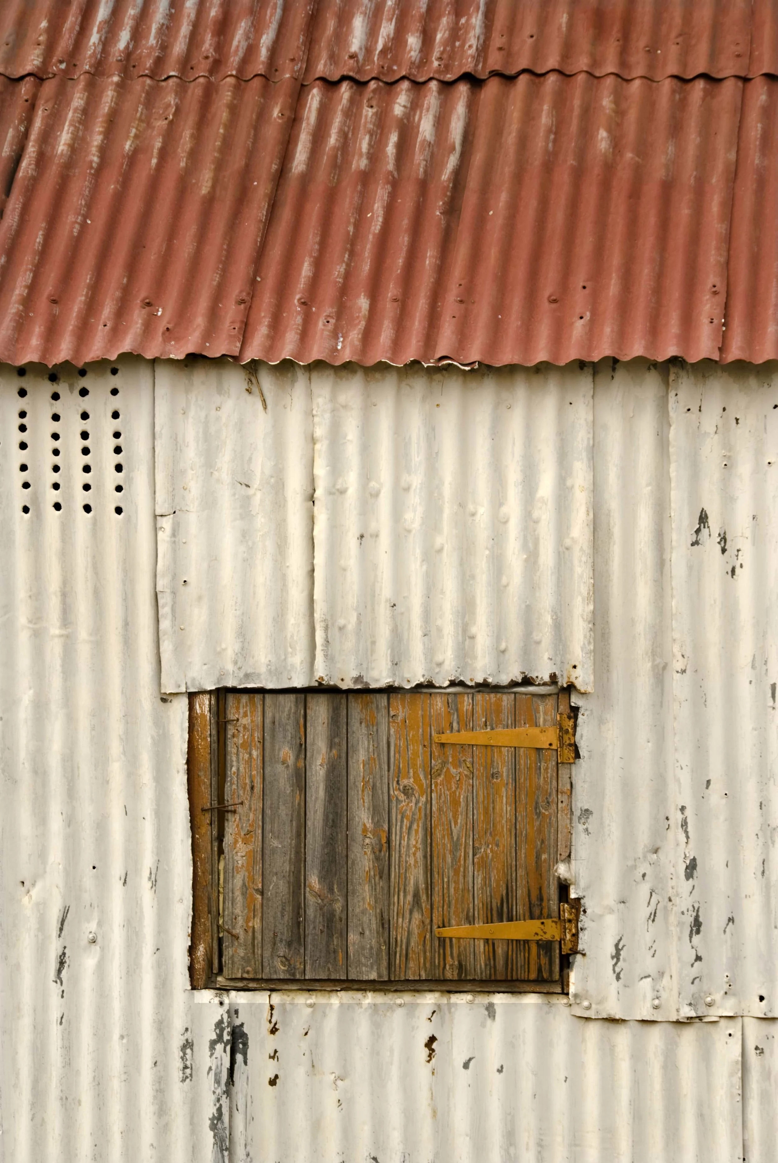 Web9041609_8874.jpg