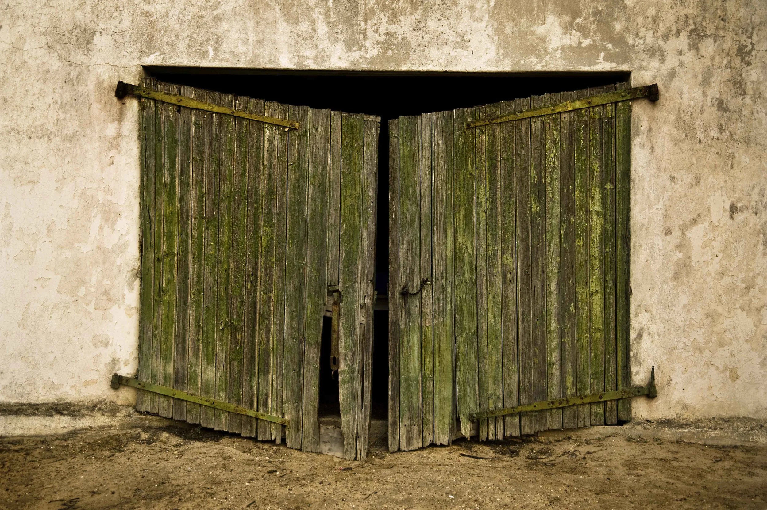 WebdoorsDSC_2696.jpg