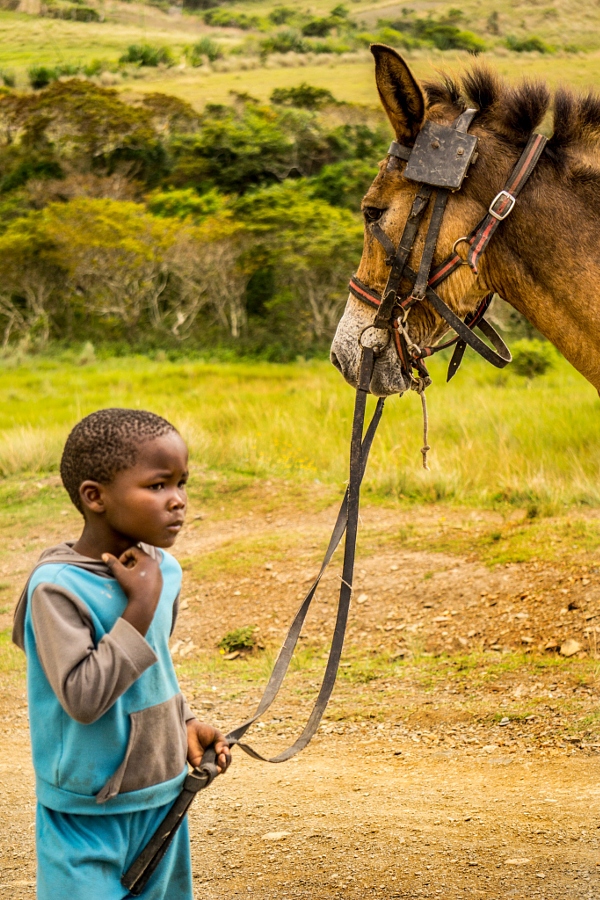 Young Boy with his Horse, Transkei
