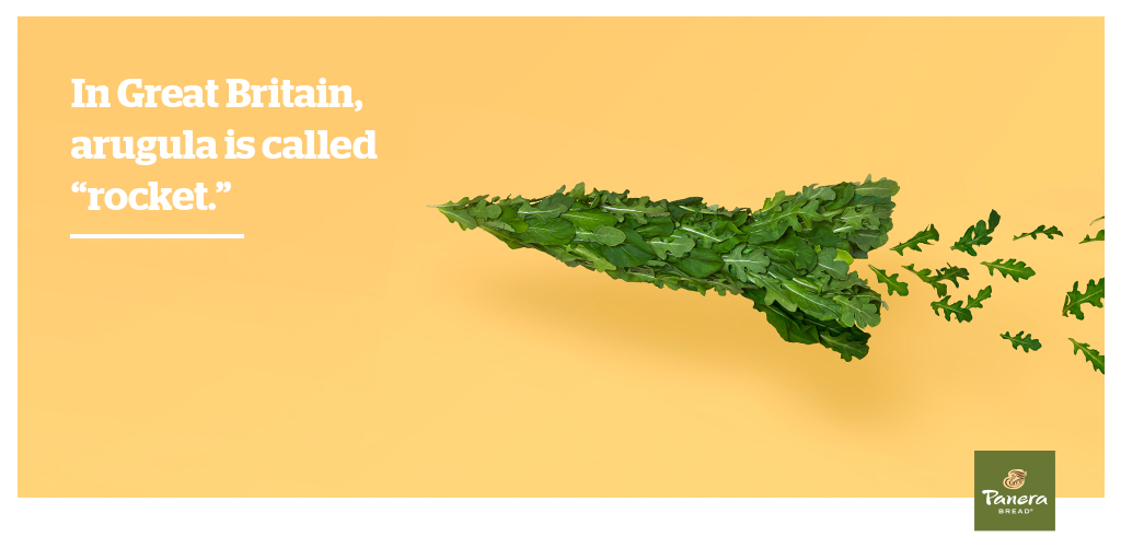 RR_arugula_TW.jpg