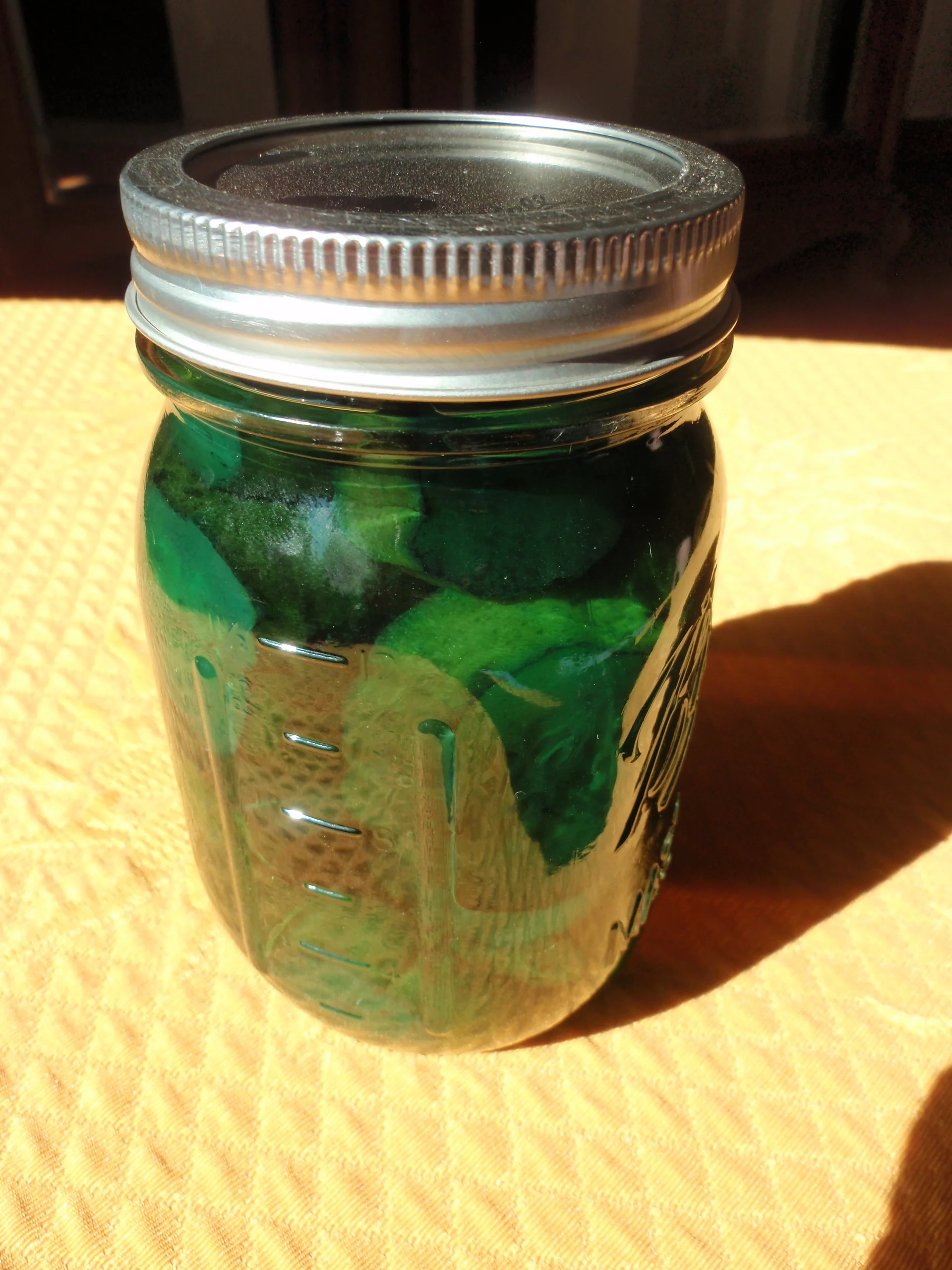 2-Week Sliced Sweet Pickles