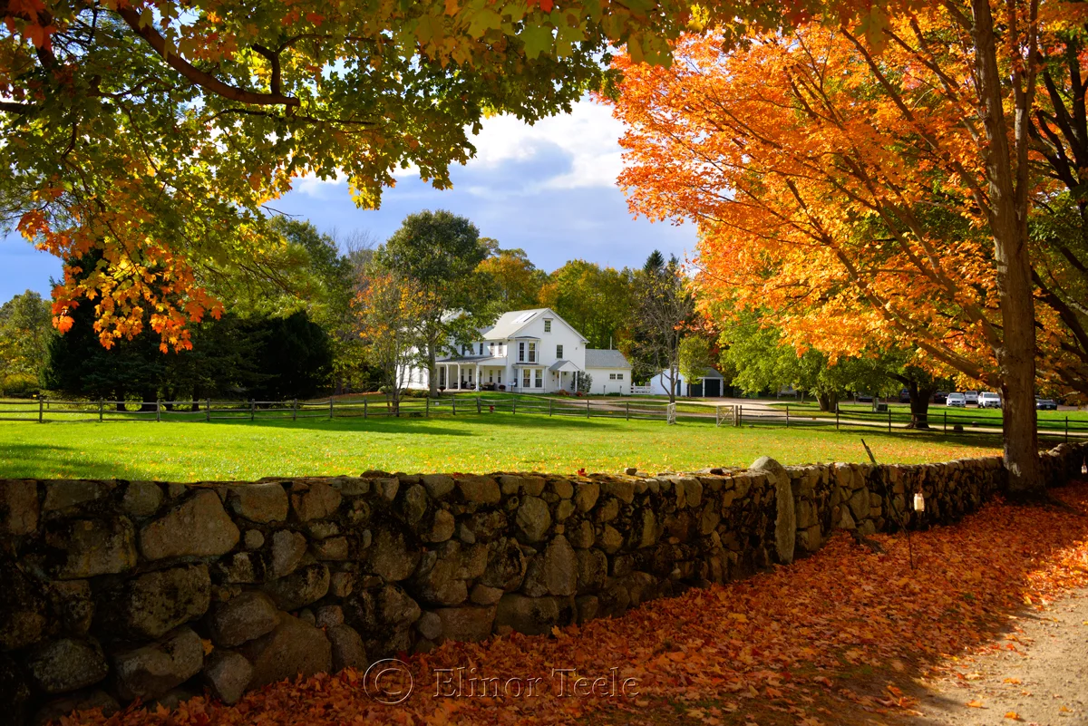 squam-creative-teele-fall-foliage-visitor-center-appleton-farms-ipswich-ma.jpg