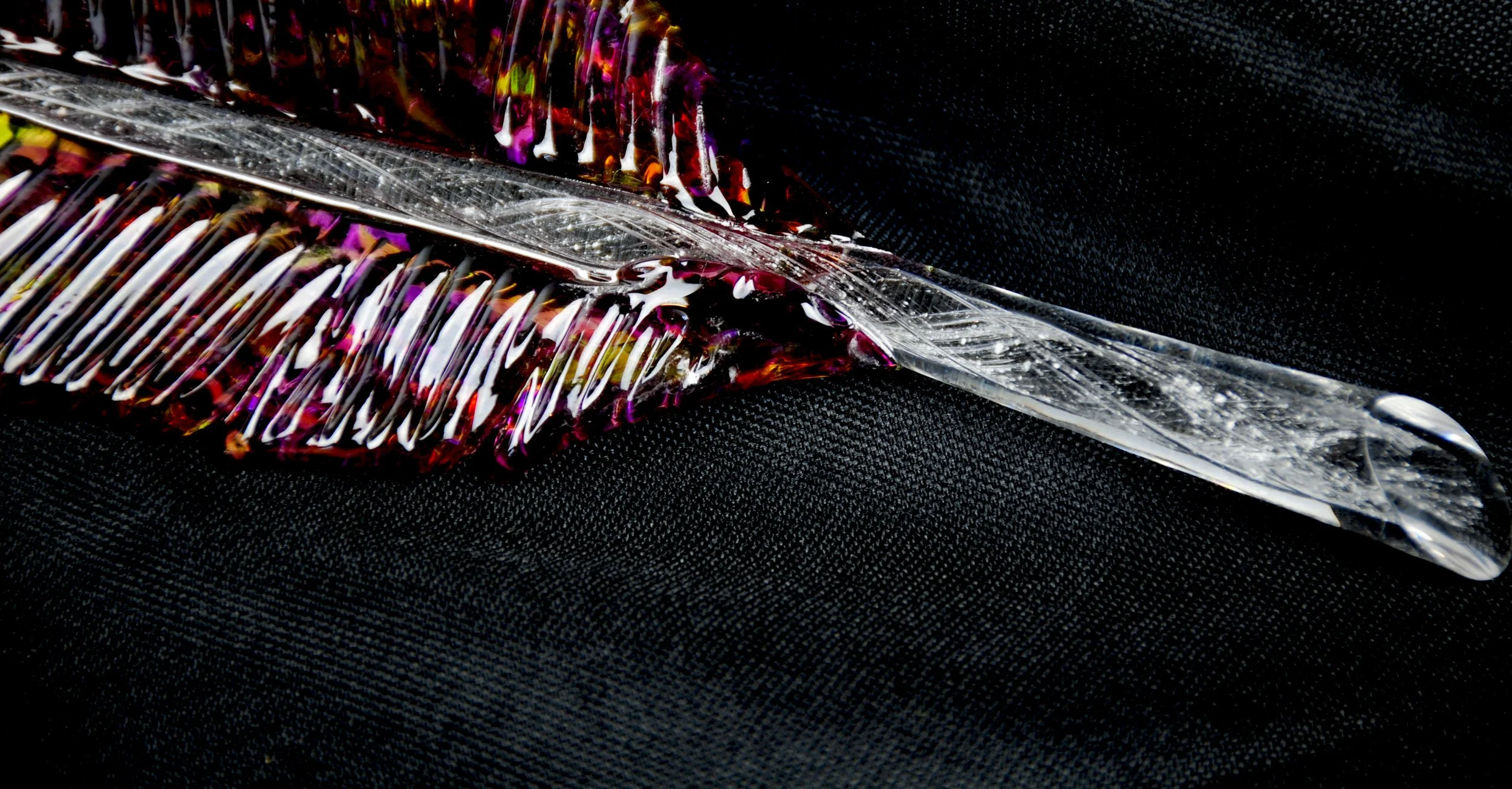 Verbena Feather Detail.jpg