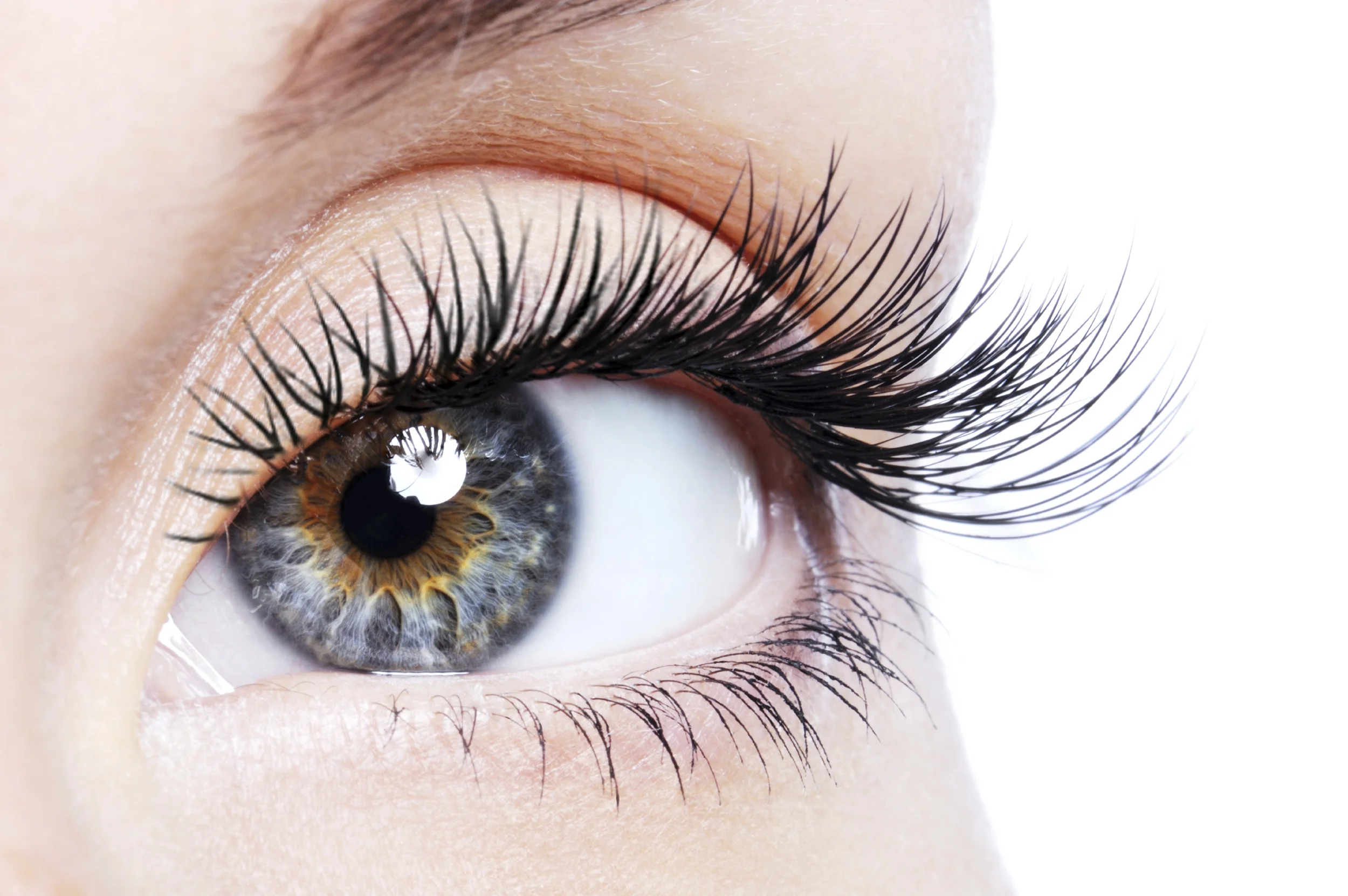 2010-beautiful-eye-close-up-lash-extensions.jpg