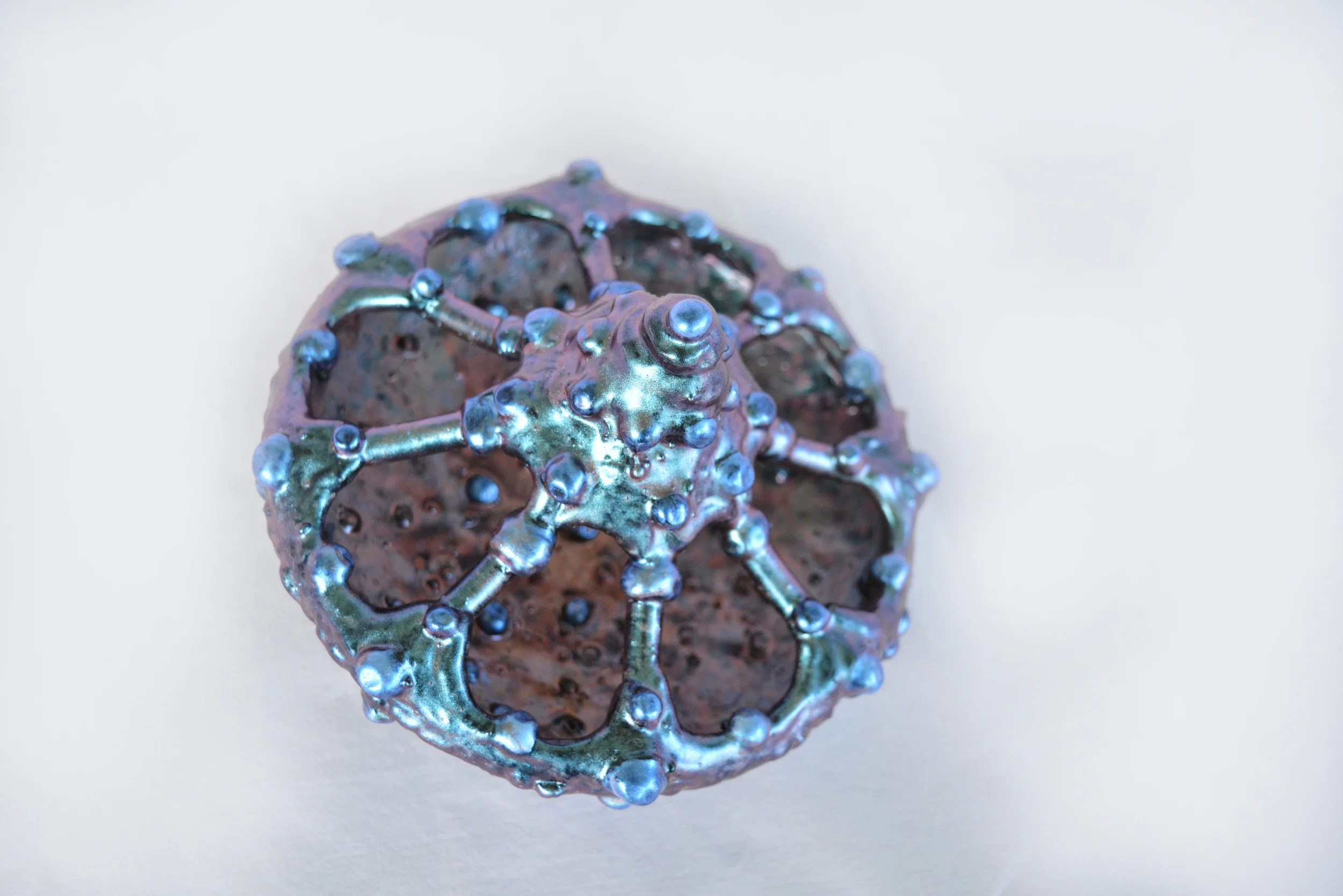 Seer Shell 3” high x 6” diameter
