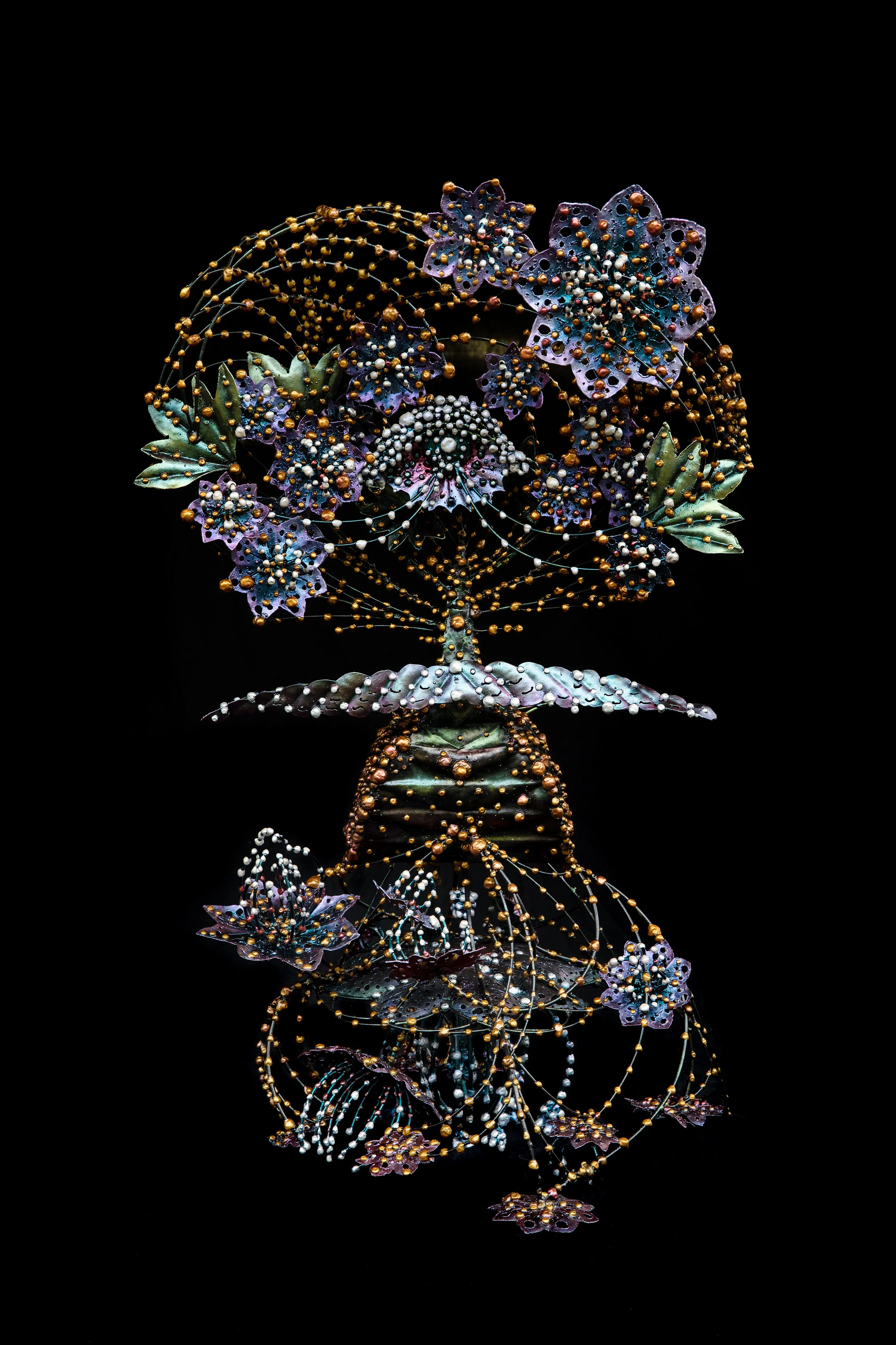 Plant Medicine Interface