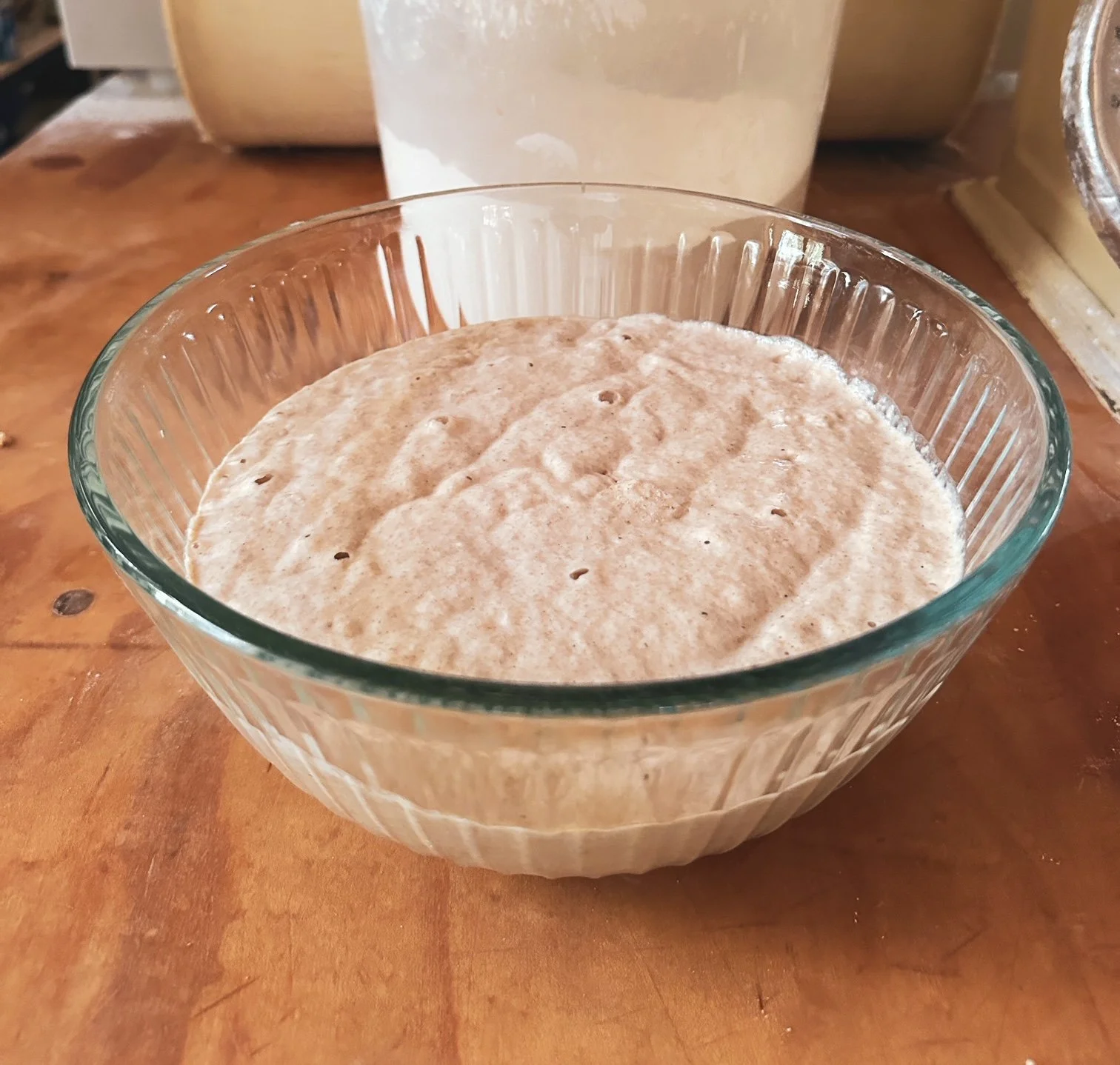 MOTHER: A SOURDOUGH STARTER: PICK UP DECEMBER 20TH, FRIDAY AT NOON