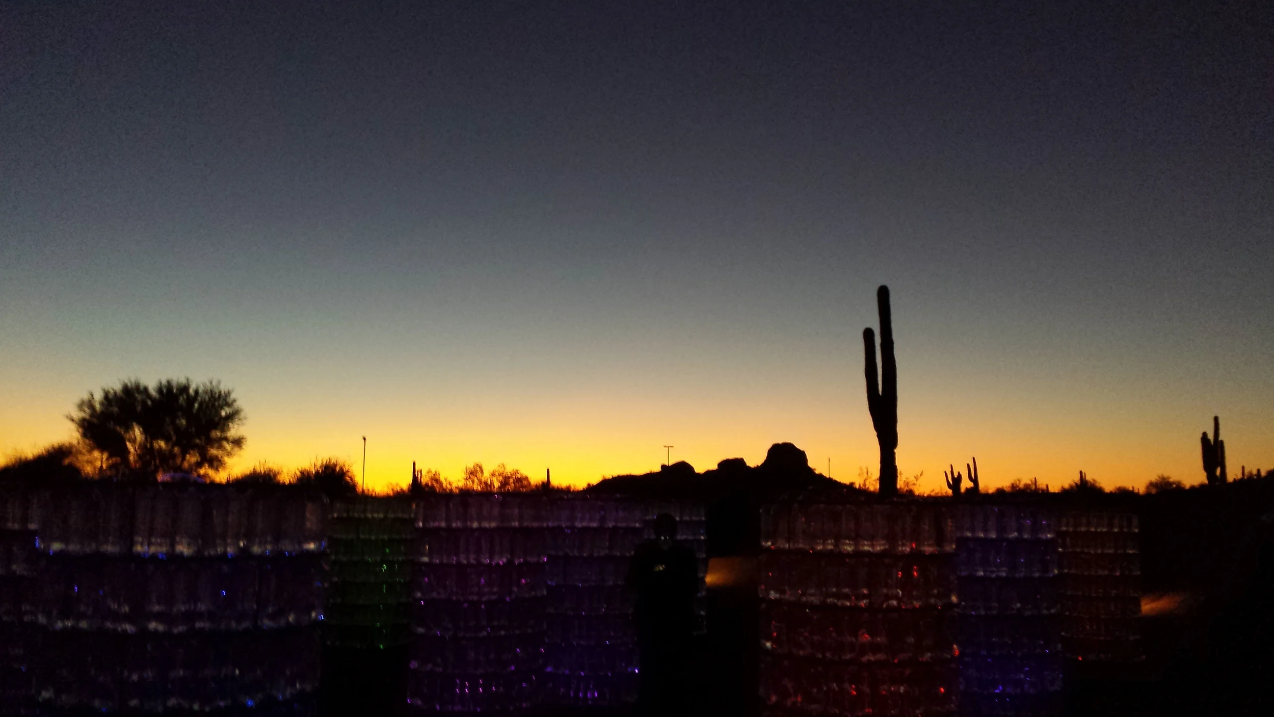 Desert Botanical Garden - View