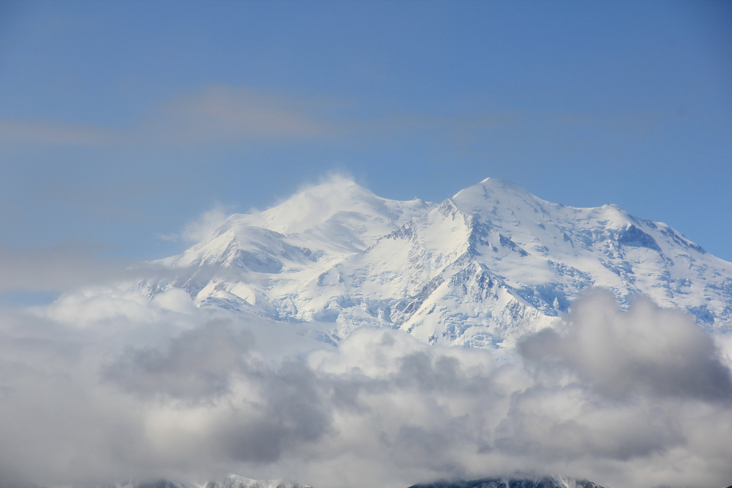 Denali National Park, Best Hotels, Tours, Trails,…