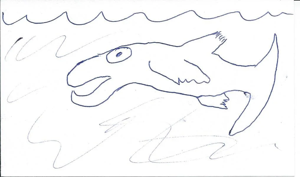 Salmon.jpg