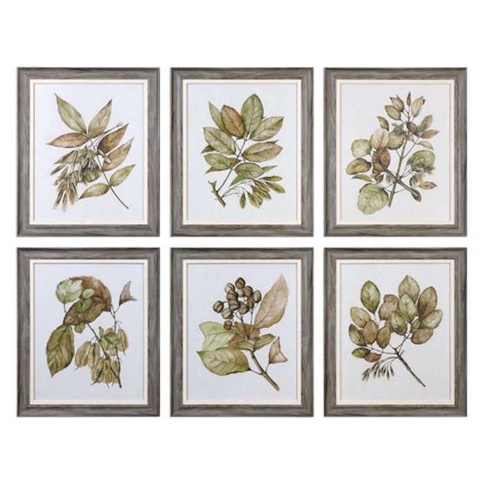 Seedlings+6+Piece+Framed+Graphic+Art+Set.jpg