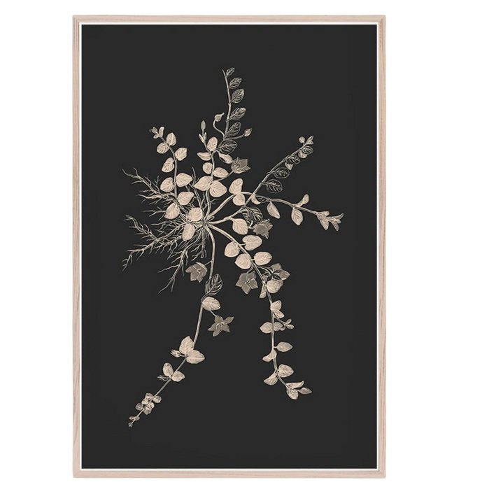 Botanical Print