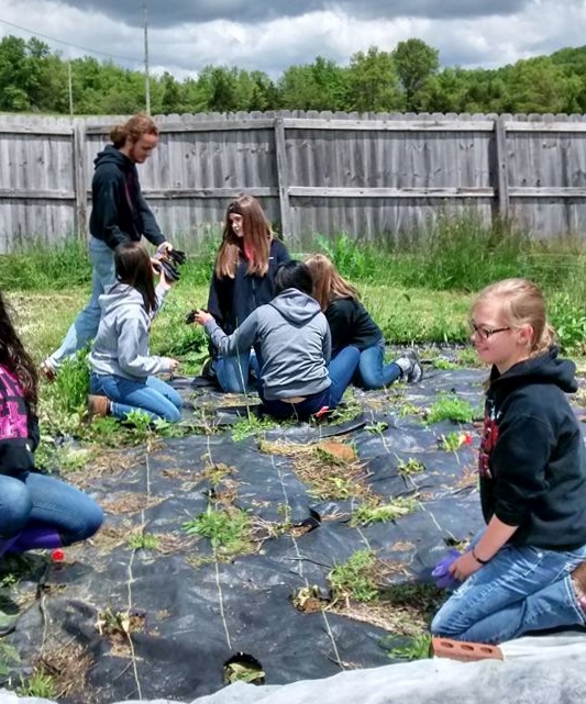 Students from Sharp Middle School’s Honor Society volunteer in the garden