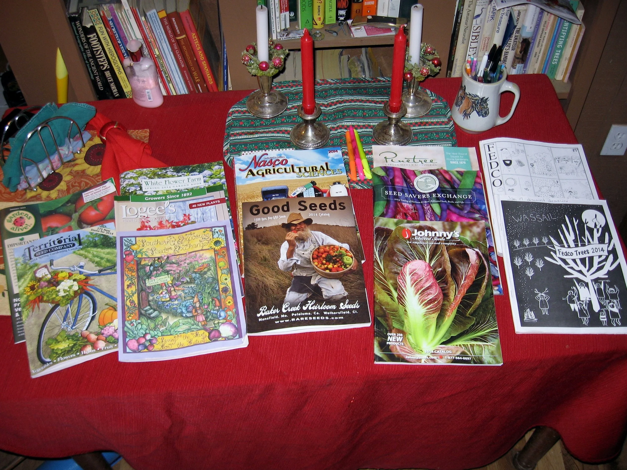 Seeds: The Beginning of Life