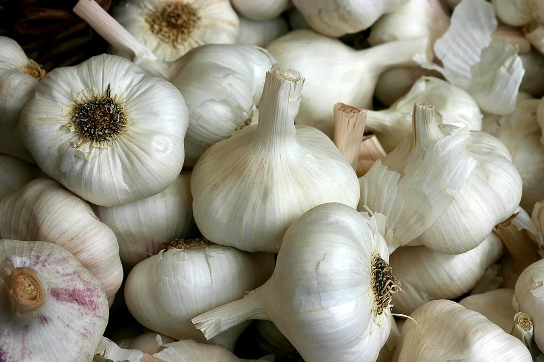 1080px-Knoblauch_2995.jpg