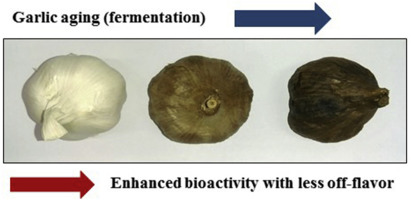 Credit: Black garlic: A critical review of its production, bioactivity, and application