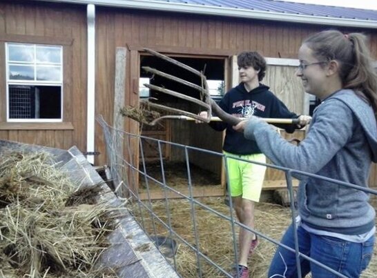Caleb and Hannah cleaning stalls and sending manure to the compost pile.