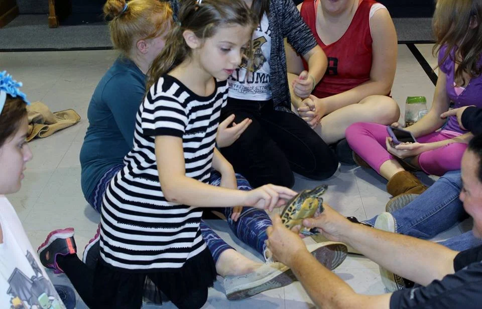 Fox Run EEC Education programs teach about turtles and other wildlife