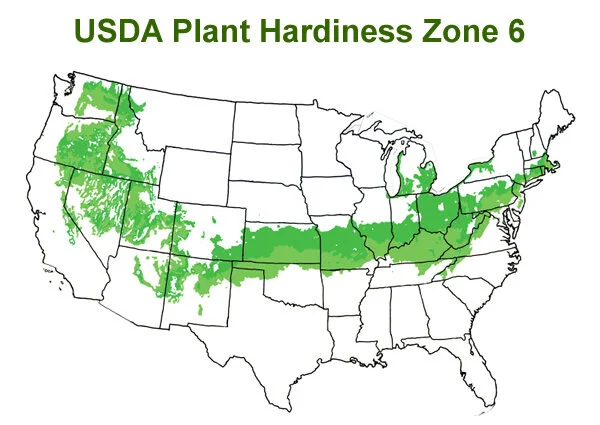 My Planting Schedule Zone 6b Fox Run Environmental Education Center