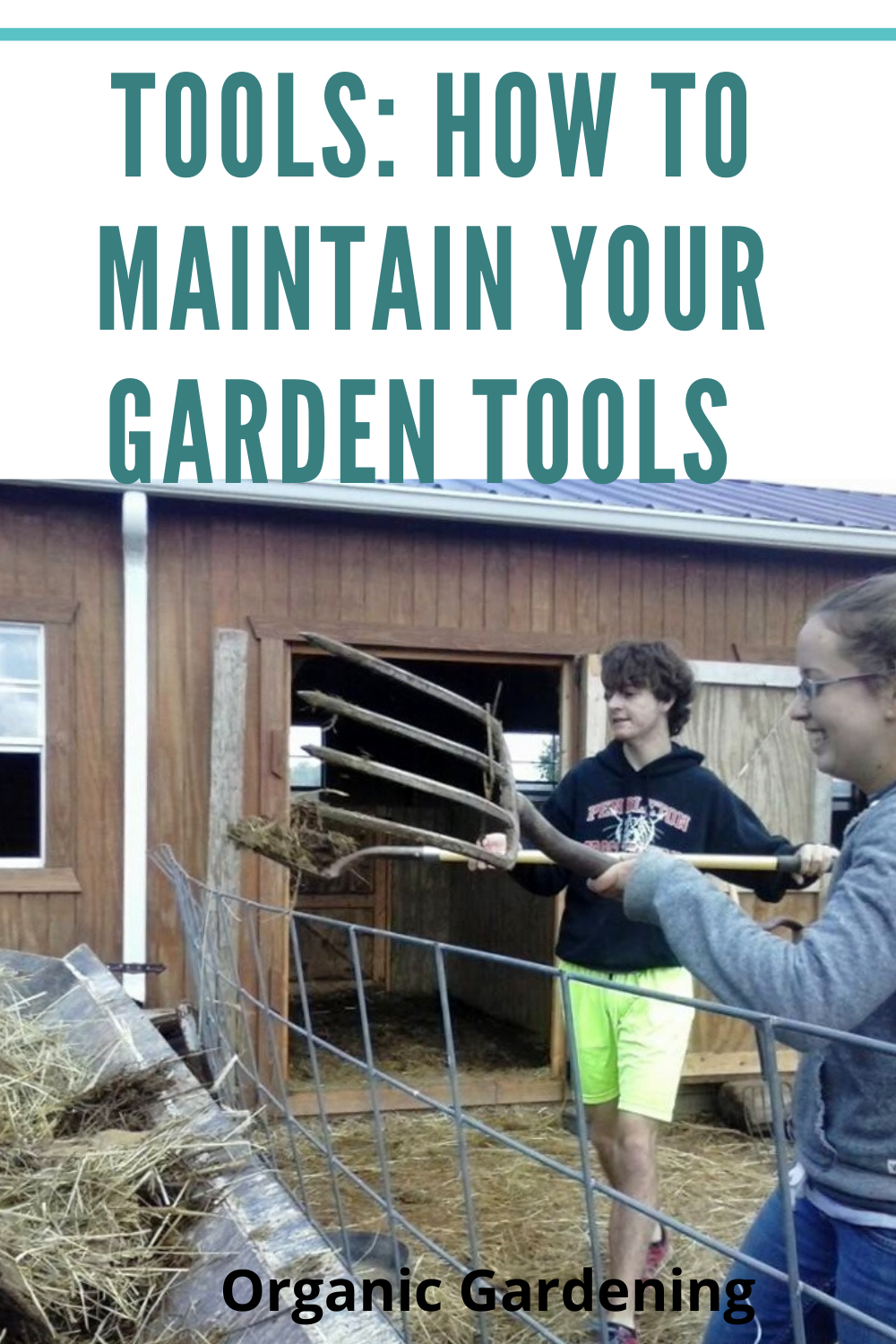 Tools_ How To Mantain Your Garden Tools pin.png