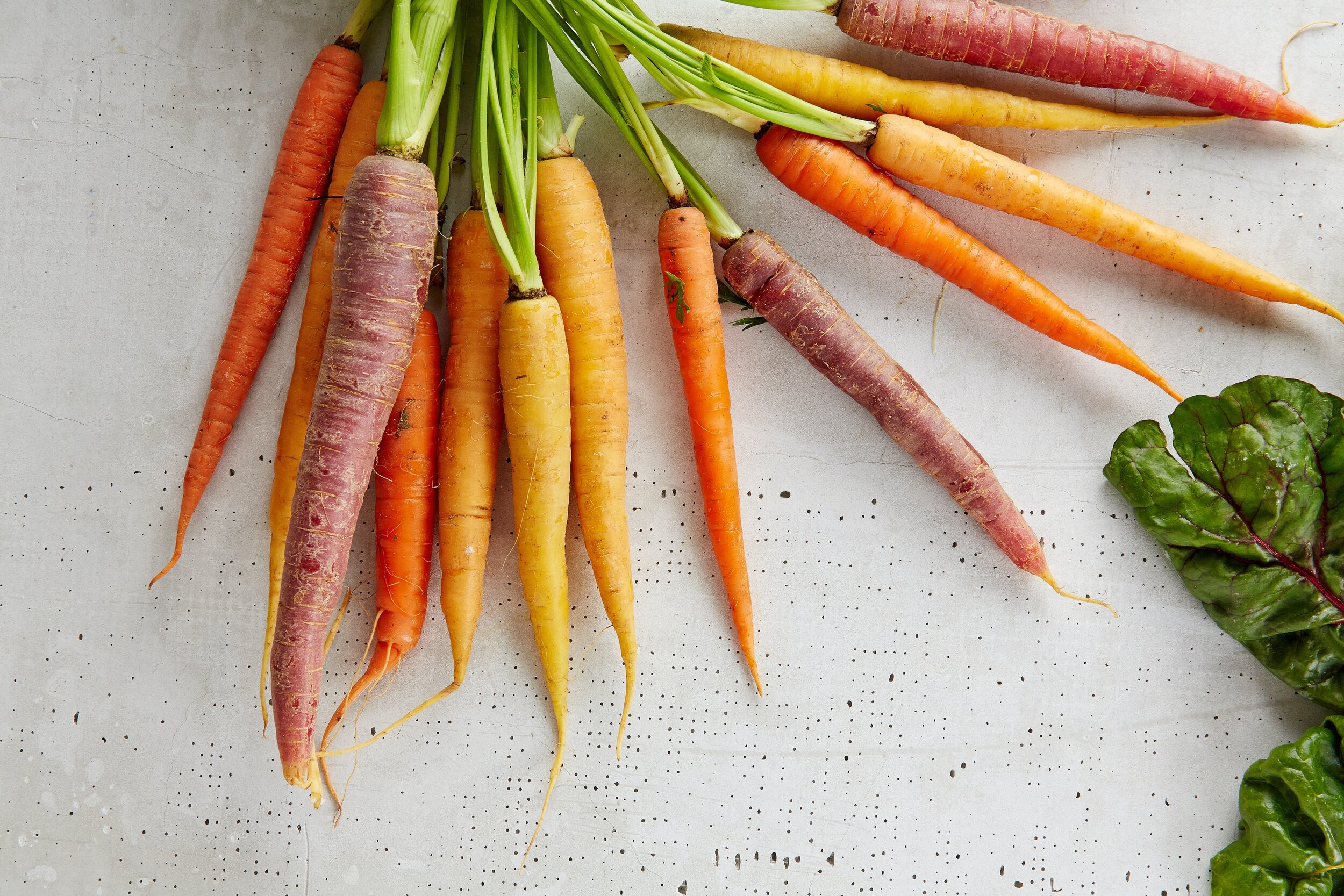Carrots come in a variety of colors and sizes. Photo by Gabriel Gurrola