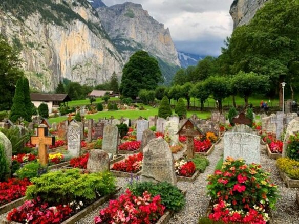 Grave Gardening: Back From the Dead!  Fox Run Environmental Education  Center