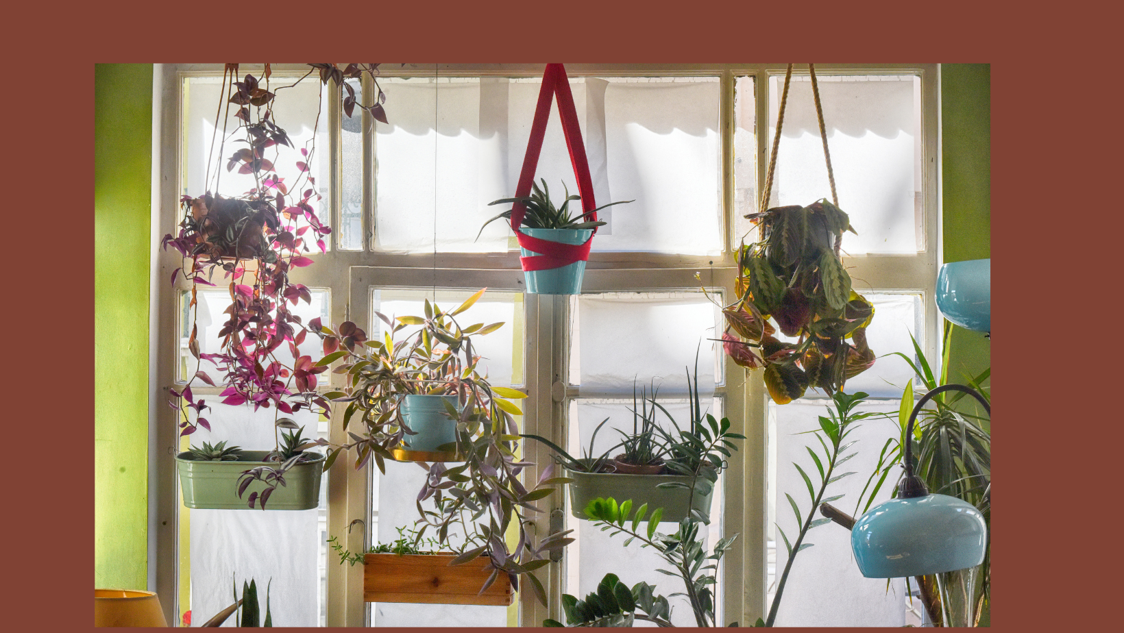 Air Circulation For Indoor Gardens — Fox Run Environmental Education Center