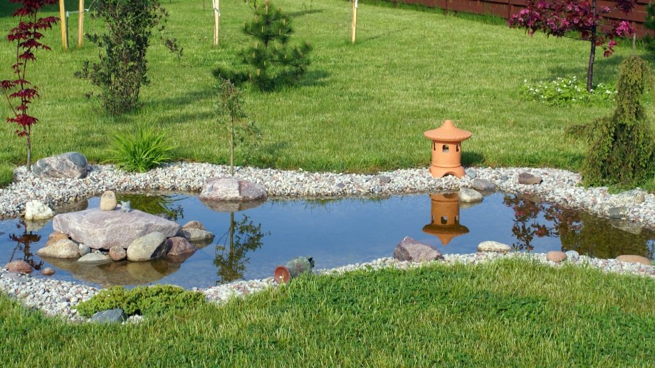 Frogscaping: Create a Frog Friendly Backyard Habitat