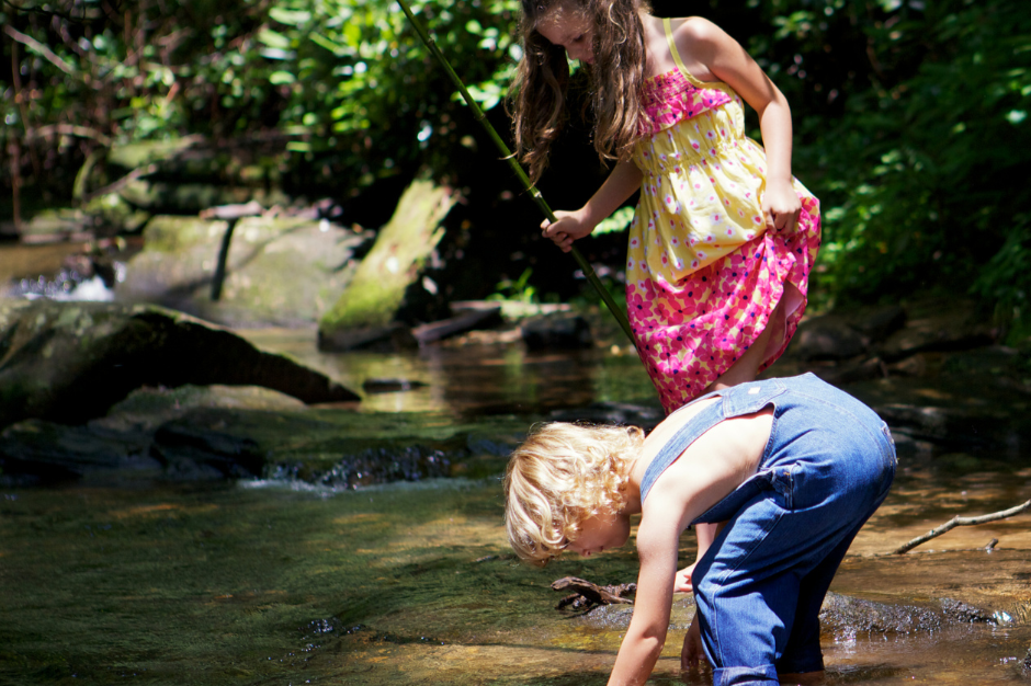 Creek Activities For Families and Homeschoolers