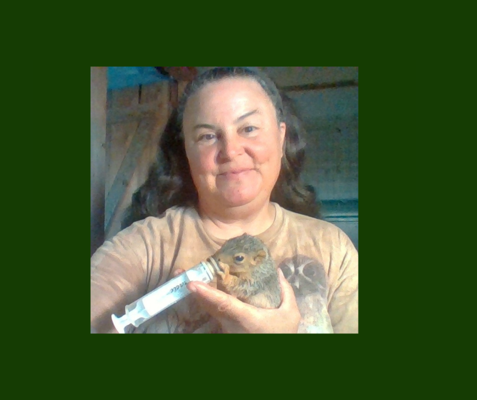 How To Become A Licensed Wildlife Rehabilitator