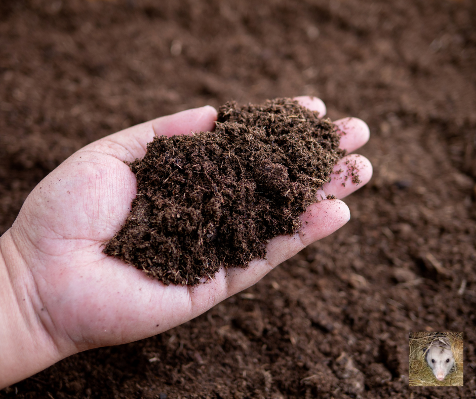 Is Peat Moss Environmentally Evil? 